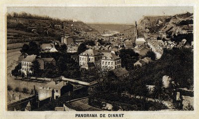 Dinant şehrinin görünümü, Wallonia, Belçika. 19. yüzyılın sonunun kromolitografisi. by Unknown artist