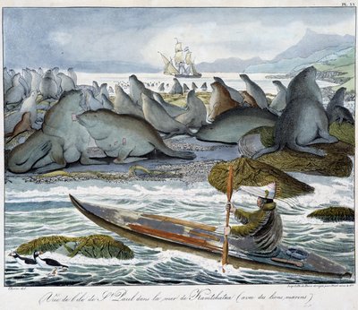 Deniz aslanları ile Kamçatka denizinde St. Paul adasının görünümü. by Unknown artist