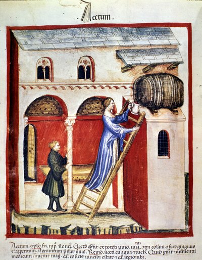 Sirke üretimi. İlaç ve diyetetik sağımlarından aydınlatma “” Tacuinum sanitatis”” by Unknown artist