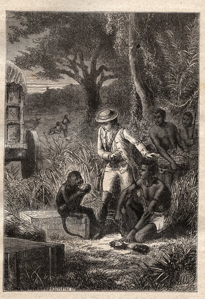 Voyage dans la Caffrerie (Güney Afrika) (1781), Francois Levaillant (Le Vaillant) (1753-1824): Levaillant ve meyvelerin ve köklerin yenilebilir olduğunu doğrulamak için tadına bakan maymun degustatörü Maitre Kees “” Les Gra by Unknown artist