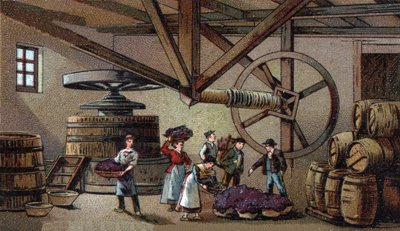 Şarap üretimi: Beaune bakımevinin şarap presi (clos vougeot). 19. yüzyılın sonlarında kromolitografi by Unknown artist