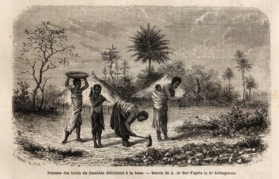 Zambeze kıyılarından bir çapa çıkaran ve çocukları tarım işçiliğiyle tanıştıran kadınlar. Dr. Livingstone