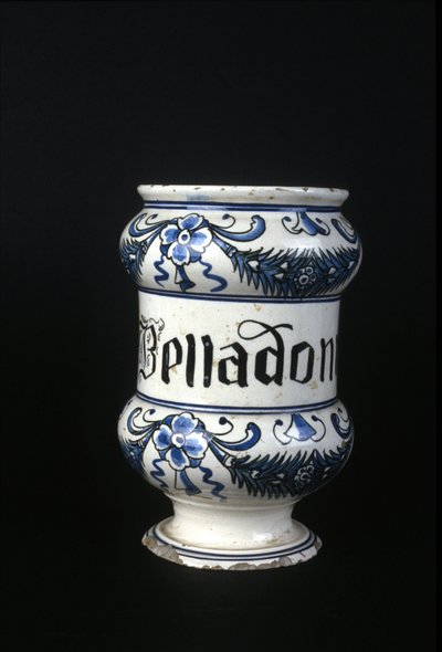 Eczacılıkta kullanılan zehirli bitki olan Belladonna içeren XVI. yüzyıl eczane kabı. Bilim ve Teknoloji Müzesi, Milano. by Unknown artist