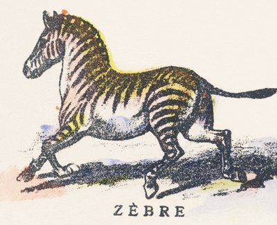Z: zebra by Unknown artist