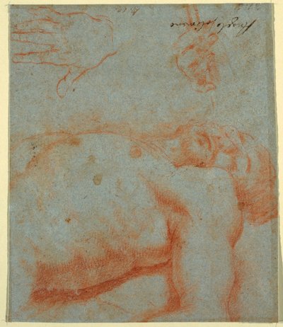 Çizim, Ölü İsa, 17. yüzyıl sonu-18. yüzyıl başı by Unknown artistUnknown artist