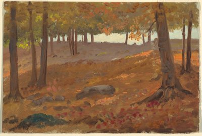 Çizim, Sonbaharda Orman, 1870-80 by Unknown artistUnknown artist