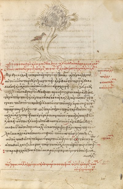 Ağaçta Oturan Bir Kuş by Unknown artist