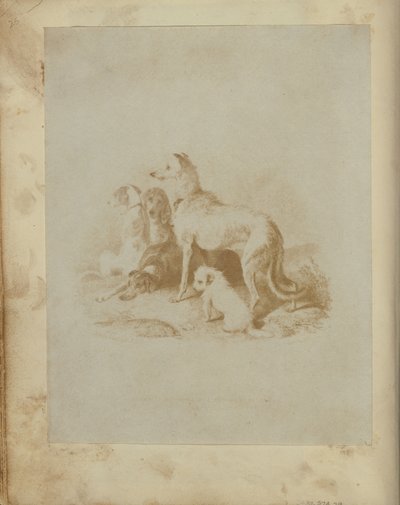 [Bir Grup Beş Köpek] by Unknown artist