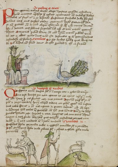 Tahta Çıkmış Bir Kral Tavus Kuşuyla Konuşuyor; Koç Öldüren Bir Çoban; İki Keçinin Önünde Elinde Asa ve Bıçak Olan Bir Çoban by Unknown artist
