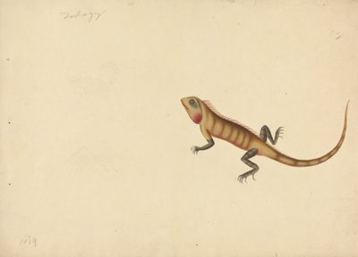 Akrep ve Örümcek Çizimleri Olan Bir Kertenkele by Unknown artist