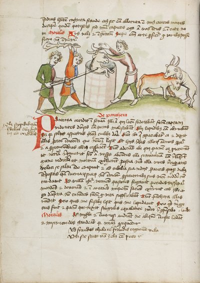 Bir İneğe Saldıran Panter Öldürüldü by Unknown artist