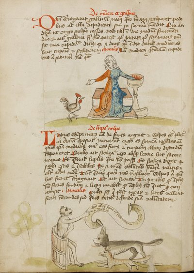 Kabı ve Tavuğu Olan Bir Kadın; Tilki ve Kurda Ders Veren Bir Maymun by Unknown artist