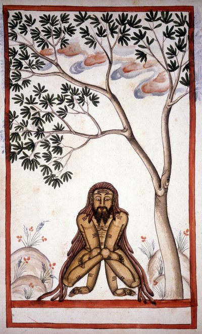 Stefano Nivibus Cardeira