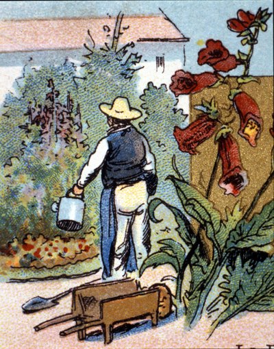 Bir bahçıvan, kromolitografi by Unknown artist