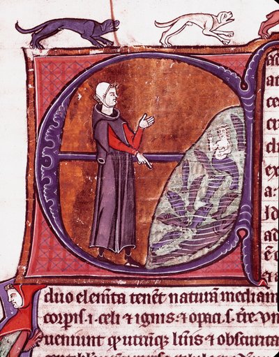 Bir göletin önünde bir keşiş, bir siren, Vincent de Beauvais (1184/94-1264) tarafından "Speculum historiale" (Ayna Tarihçesi) adlı el yazmasından alınan Minyatür balıklar arasında temsil edilmektedir. 13. yüzyıl Laon, belediye kütüphanesi by Unknown artist