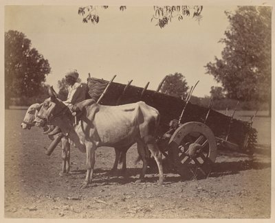 Tarım Arabası, Guzerat by Unknown artist