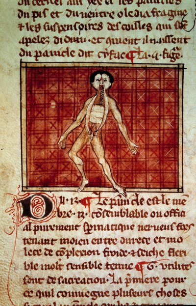 Anatomik şekil: kabuğu, göğüs açık. Henri de Mondeville (Philippe Le Bel'in anatomi profesörü cerrahı) tarafından yazılan “” Cerrahi” (Folio 11v) el yazmasından minyatür by Unknown artist