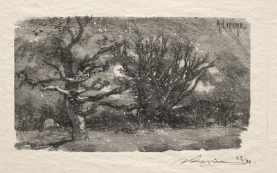 Lantara yurdunda by Unknown artist