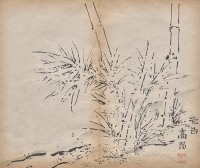 Bambu by Unknown artist