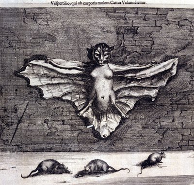 Yarasalar ve sıçanlar. Athanasius Kircher tarafından “De China Monumenta” by Unknown artist