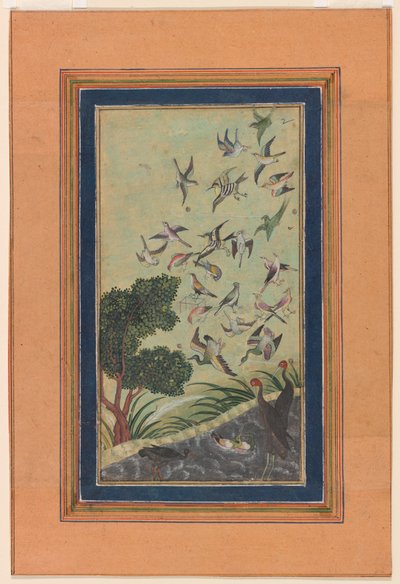 Baran