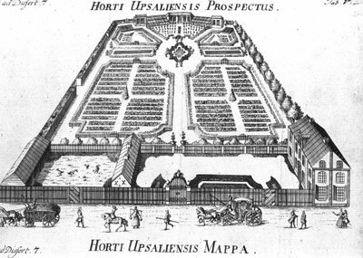 Botanik Bahçesi - HORTI UPSALIENSIS ileriye dönük ve plan. by Unknown artist