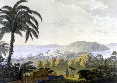 Brezilya, Bahia eyaletindeki Ilheus şehrinin görünümü by Unknown artist