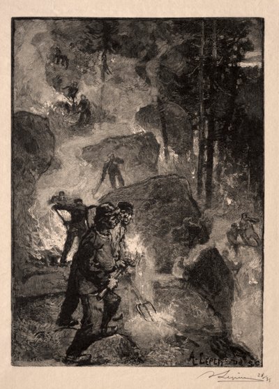eğrelti otu brülörleri by Unknown artist