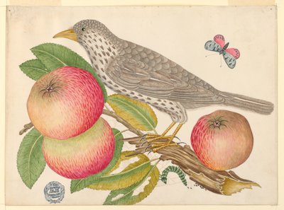 Elma dalı üzerinde tırtıl ile kahverengi kuş by Unknown artist