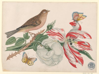 Gül, Lale ve Böceklerle Dalda Kahverengi Kuş by Unknown artist