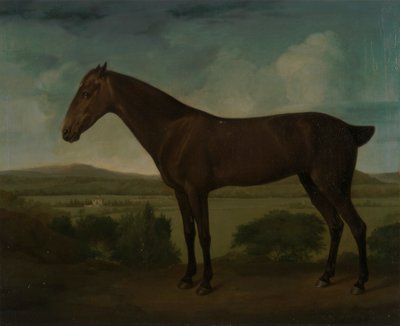 Dağlık Bir Manzarada Kahverengi At by Unknown artist