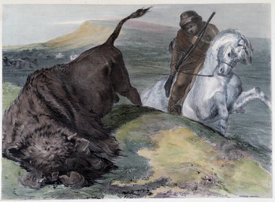 Kanadalı Huron Buffalo Hunt - Coke Smyth, Londra tarafından “”Shyth