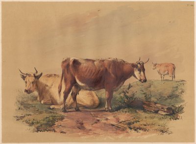 Sığırlar by Unknown artist