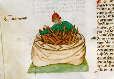 Tarçın Satıcısı Şifalı bitkilerin tanımı ve nasıl hazırlanacağı. El yazması sayfası “” Otlar üzerinde tedaviler”” (Tractatus de herbis) Pedanius Dioscorides (Dioscorides) (MS 40-90) Lat.1152 by Unknown artist