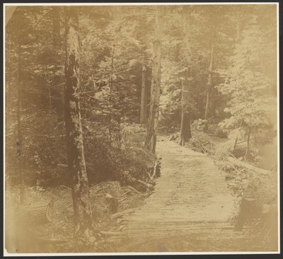 [Harper