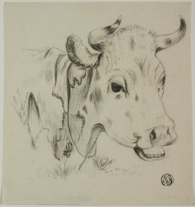 İnek Kafası by Unknown artist