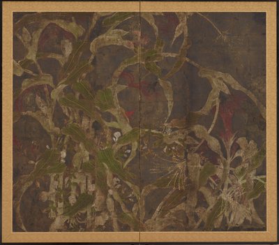 Coxcombs, mısır ve sabah zaferleri by Unknown artist