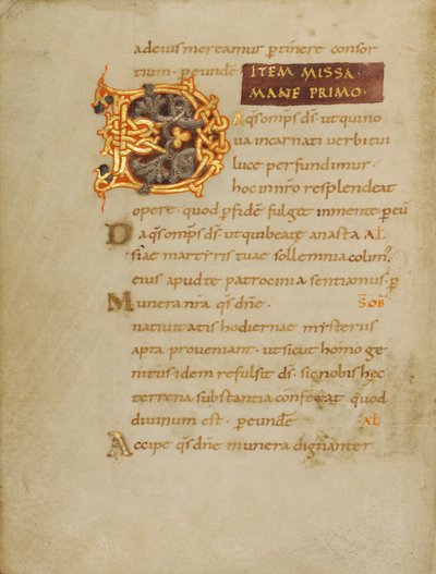 Dekorlu D Harfi by Unknown artist