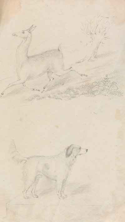 Geyik ve Köpek by Unknown artist