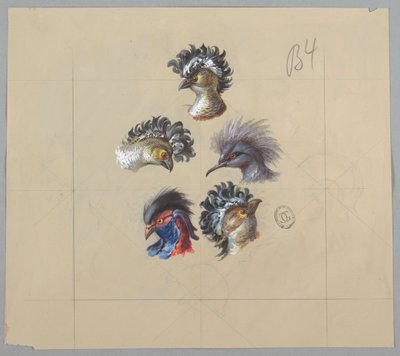 Duvar Kağıdı ve Tekstil Tasarımı: Kuşlar by Unknown artist