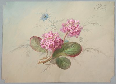 Duvar Kağıdı ve Tekstil Tasarımı: Çiçekler by Unknown artist