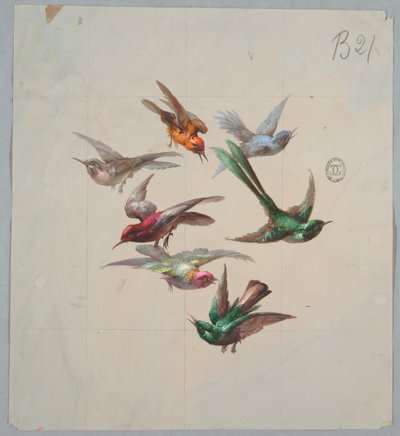 Duvar Kağıdı ve Tekstil Tasarımı: Kuşlar by Unknown artist