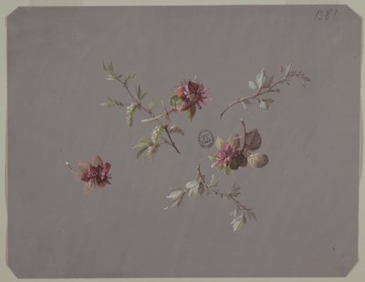 Duvar Kağıdı ve Tekstil Tasarımı: Çiçekler by Unknown artist