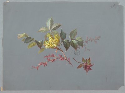 Duvar Kağıdı ve Tekstil Tasarımı: Çiçekler by Unknown artist