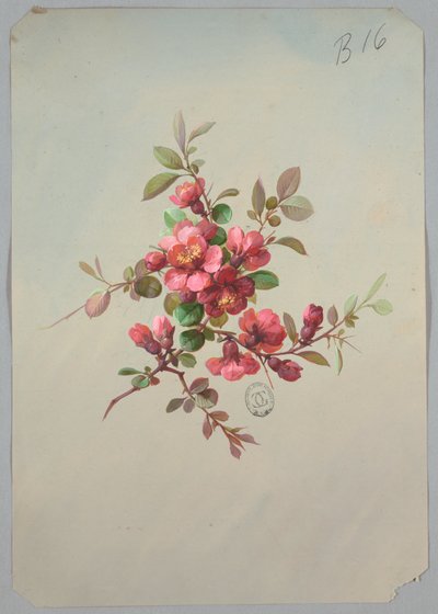 Duvar Kağıdı ve Tekstil Tasarımı: Çiçekler by Unknown artist