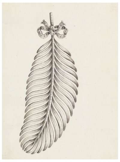 Tüy Şeklinde Broş Tasarımı by Unknown artist