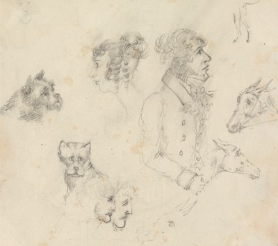 Köpekler, İnsanlar ve Atlar by Unknown artist