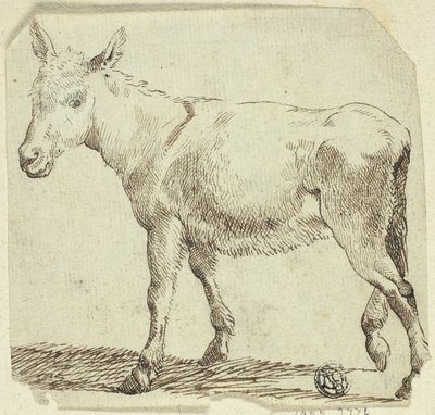 Eşek by Unknown artist