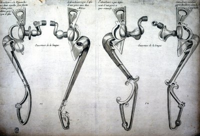 At bitlerinin çizimi by Unknown artist