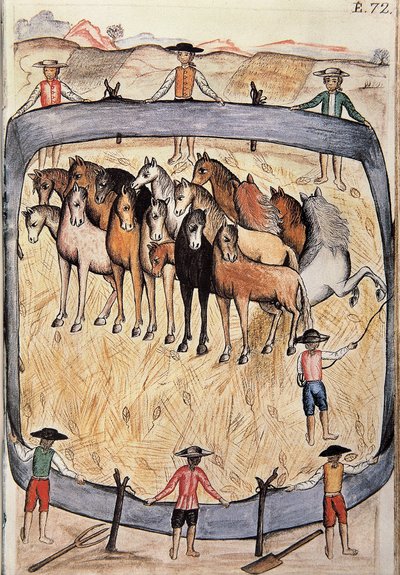 Yabani atların terbiyesi, Trujillo piskoposu Baltazar Martinez Compañón y Bujanda tarafından yazılan "Trujillo del Peru" veya "Códice Martínez Compañón" kitabından (1782-1785) by Unknown artist